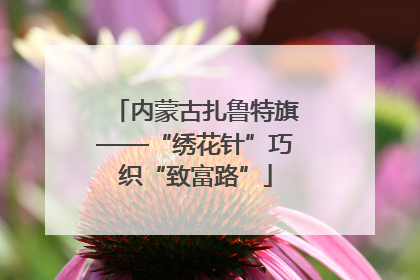 内蒙古扎鲁特旗——“绣花针”巧织“致富路”