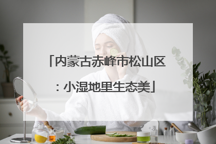 内蒙古赤峰市松山区：小湿地里生态美