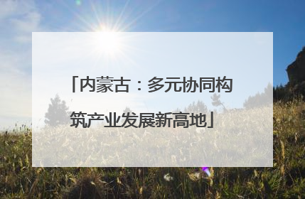 内蒙古：多元协同构筑产业发展新高地