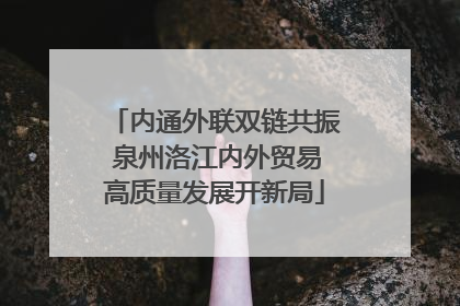 内通外联双链共振 泉州洛江内外贸易高质量发展开新局