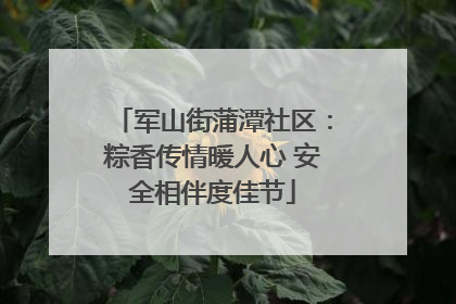 军山街蒲潭社区：粽香传情暖人心 安全相伴度佳节