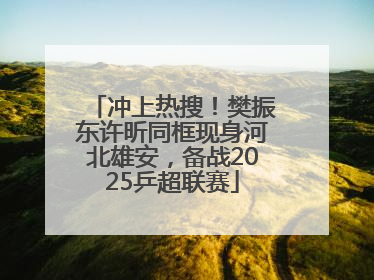 冲上热搜！樊振东许昕同框现身河北雄安，备战2025乒超联赛