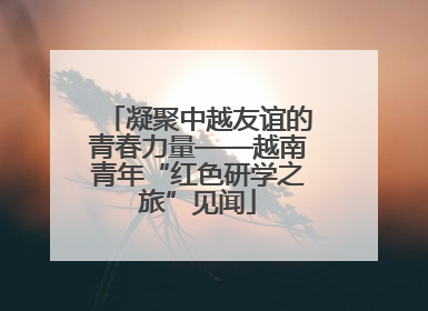 凝聚中越友谊的青春力量——越南青年“红色研学之旅”见闻