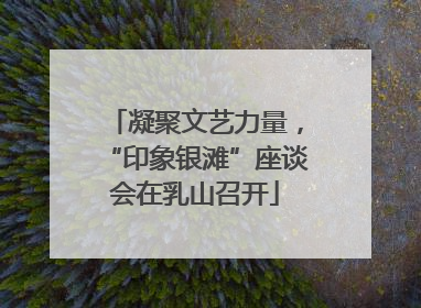 凝聚文艺力量，“印象银滩”座谈会在乳山召开