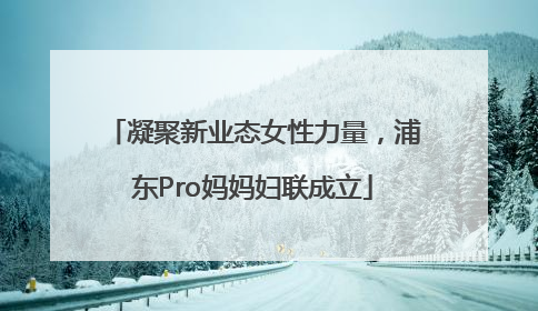 凝聚新业态女性力量，浦东Pro妈妈妇联成立