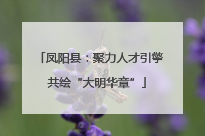 凤阳县：聚力人才引擎 共绘“大明华章”