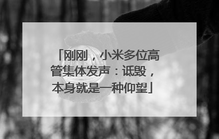 刚刚，小米多位高管集体发声：诋毁，本身就是一种仰望