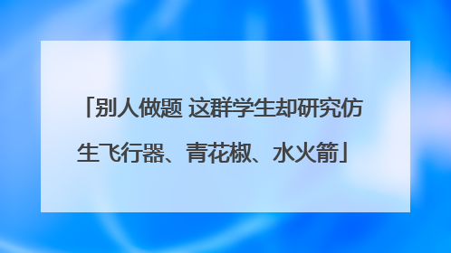 别人做题 这群学生却研究仿生飞行器、青花椒、水火箭