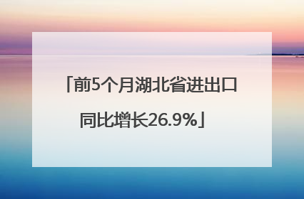 前5个月湖北省进出口同比增长26.9%
