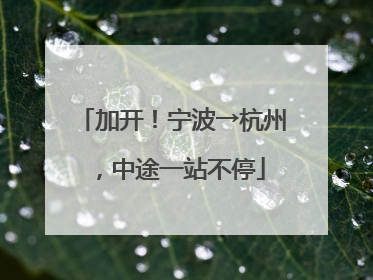 加开！宁波→杭州，中途一站不停