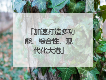加速打造多功能、综合性、现代化大港