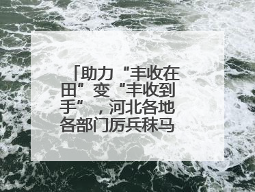 助力“丰收在田”变“丰收到手”，河北各地各部门厉兵秣马迎战“三夏”