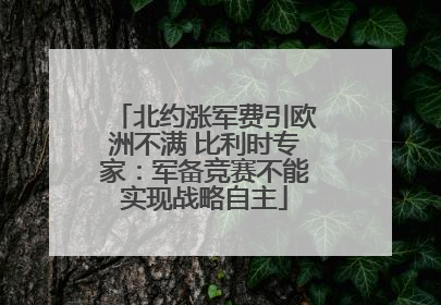 北约涨军费引欧洲不满 比利时专家：军备竞赛不能实现战略自主