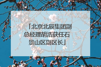 北京北辰集团副总经理胡浩获任石景山区副区长