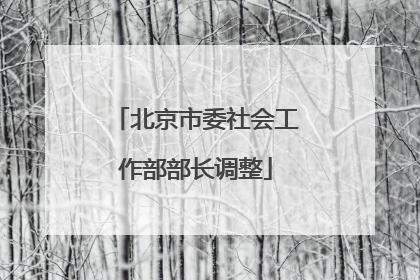 北京市委社会工作部部长调整