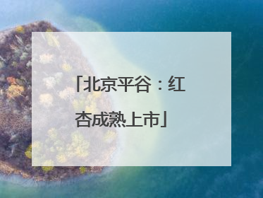 北京平谷：红杏成熟上市