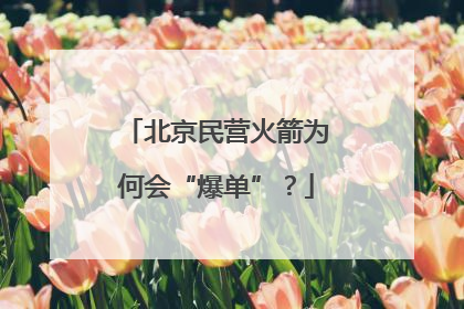 北京民营火箭为何会“爆单”？