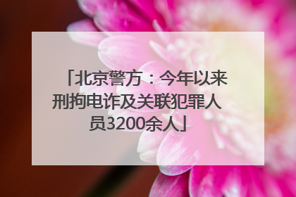 北京警方：今年以来刑拘电诈及关联犯罪人员3200余人