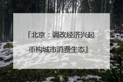 北京：调改经济兴起 重构城市消费生态