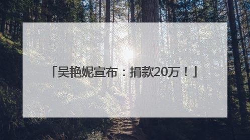 吴艳妮宣布：捐款20万！