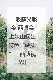 吸睛又吸金 西博会上乐山端出特色“硬菜”｜西博视界
