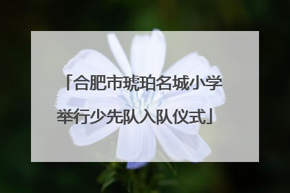 合肥市琥珀名城小学举行少先队入队仪式
