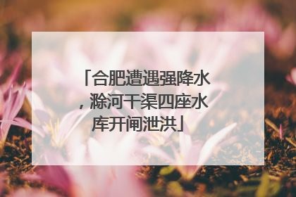 合肥遭遇强降水，滁河干渠四座水库开闸泄洪