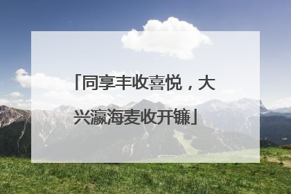 同享丰收喜悦，大兴瀛海麦收开镰