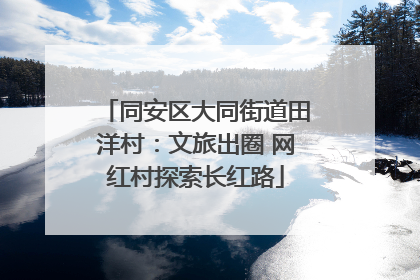 同安区大同街道田洋村：文旅出圈 网红村探索长红路