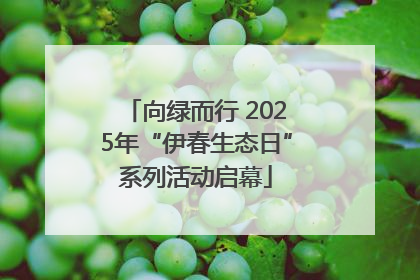 向绿而行 2025年“伊春生态日”系列活动启幕