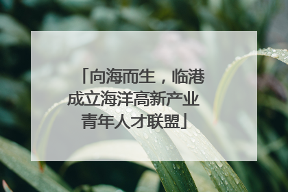 向海而生，临港成立海洋高新产业青年人才联盟