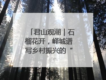 君山观潮｜石榴花开，峄城谱写乡村振兴的“新”篇章