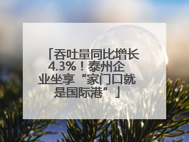 吞吐量同比增长4.3%！泰州企业坐享“家门口就是国际港”