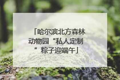 哈尔滨北方森林动物园“私人定制”粽子迎端午
