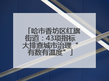 哈市香坊区红旗街道：43项指标大排查城市治理“有数有温度”
