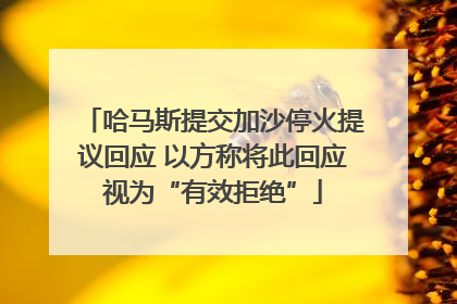 哈马斯提交加沙停火提议回应 以方称将此回应视为“有效拒绝”