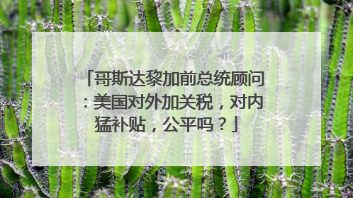 哥斯达黎加前总统顾问：美国对外加关税，对内猛补贴，公平吗？