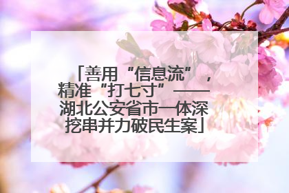 善用“信息流”，精准“打七寸”——湖北公安省市一体深挖串并力破民生案