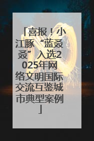 喜报！小江豚“蓝叒叒”入选2025年网络文明国际交流互鉴城市典型案例