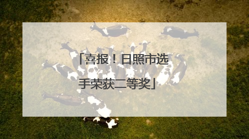喜报！日照市选手荣获二等奖