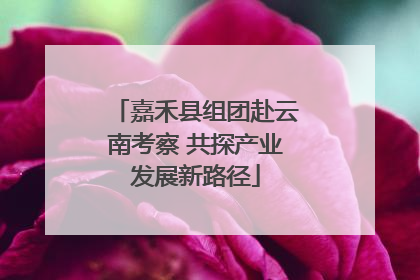 嘉禾县组团赴云南考察 共探产业发展新路径