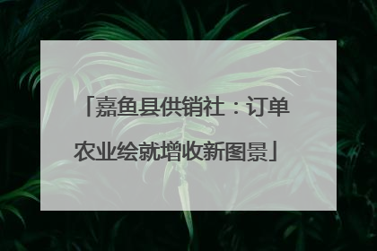 嘉鱼县供销社：订单农业绘就增收新图景