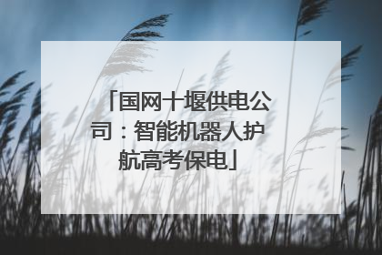 国网十堰供电公司：智能机器人护航高考保电