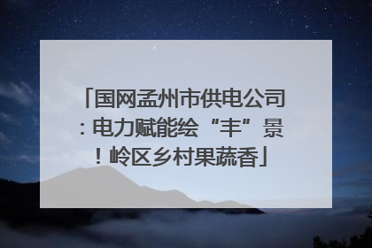 国网孟州市供电公司：电力赋能绘“丰”景！岭区乡村果蔬香