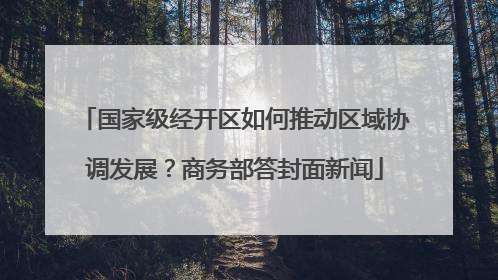 国家级经开区如何推动区域协调发展？商务部答封面新闻