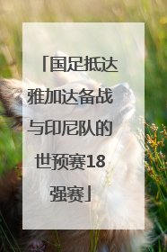 国足抵达雅加达备战与印尼队的世预赛18强赛