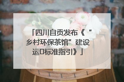 四川自贡发布《“乡村环保茶馆”建设运⾏标准指引》