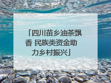 四川苗乡油茶飘香 民族类资金助力乡村振兴