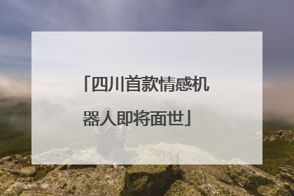 四川首款情感机器人即将面世
