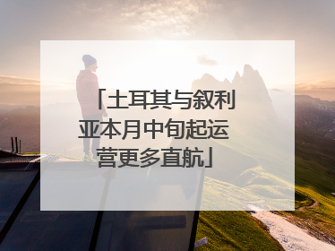 土耳其与叙利亚本月中旬起运营更多直航